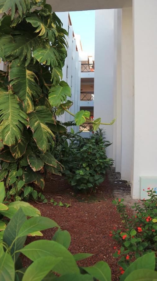 Apartamento En Tenerife Sur, Parque Santiago 2 Arona  Zewnętrze zdjęcie