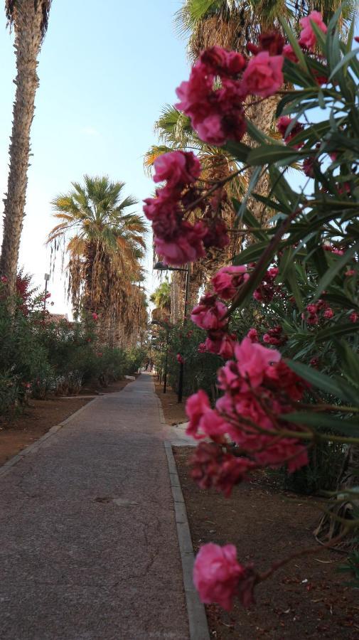 Apartamento En Tenerife Sur, Parque Santiago 2 Arona  Zewnętrze zdjęcie
